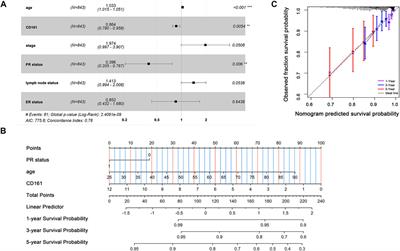 Identification of CD161 expression as a novel prognostic biomarker in breast cancer correlated with immune infiltration